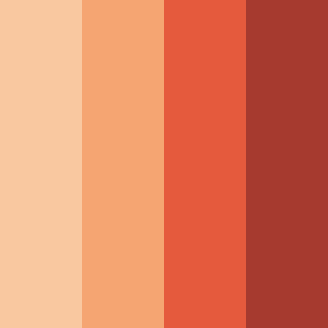 Download warm coral color palette PNG image (square)