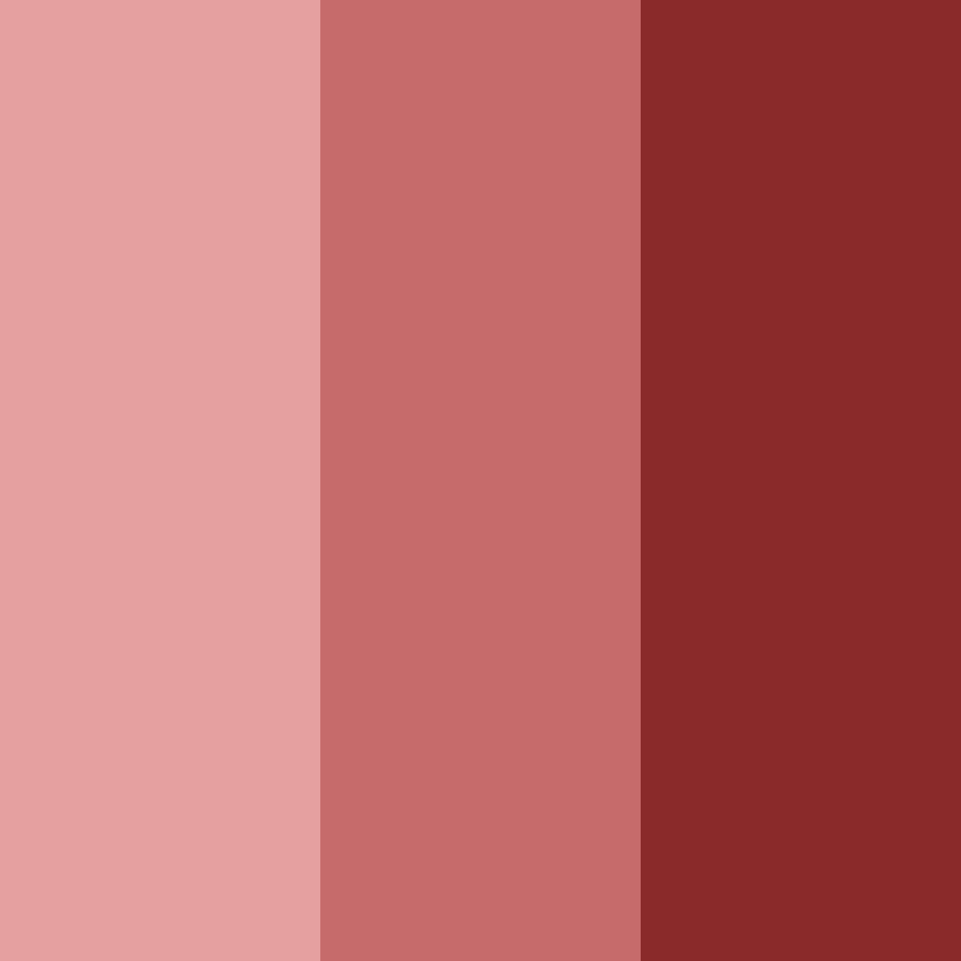 Download muted red color palette PNG image (square)