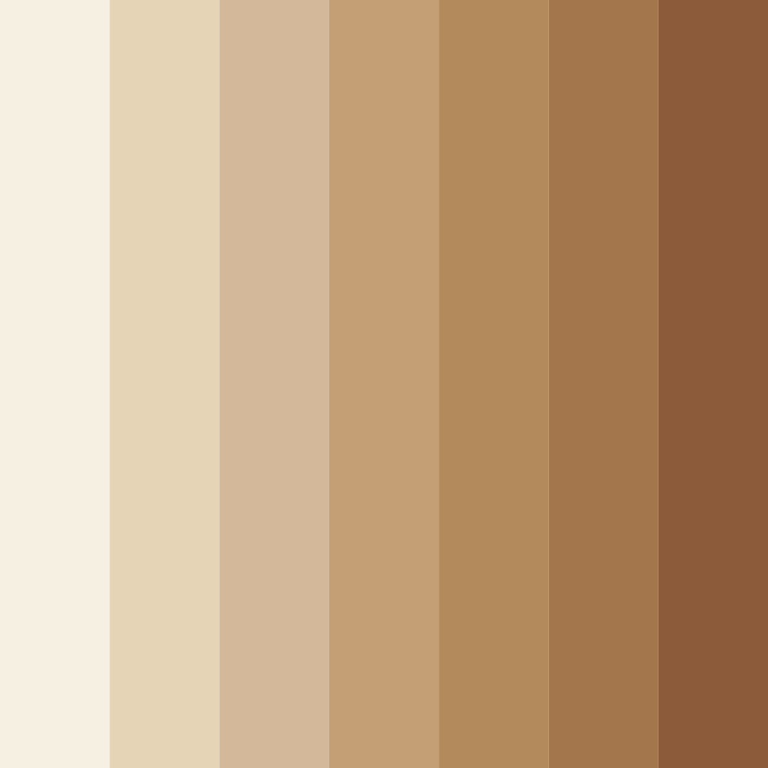 Download beige earthtones color palette PNG image (square)