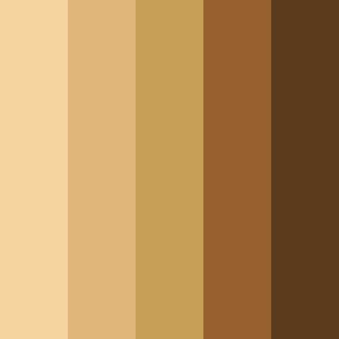 Download tawny shades color palette PNG image (square)