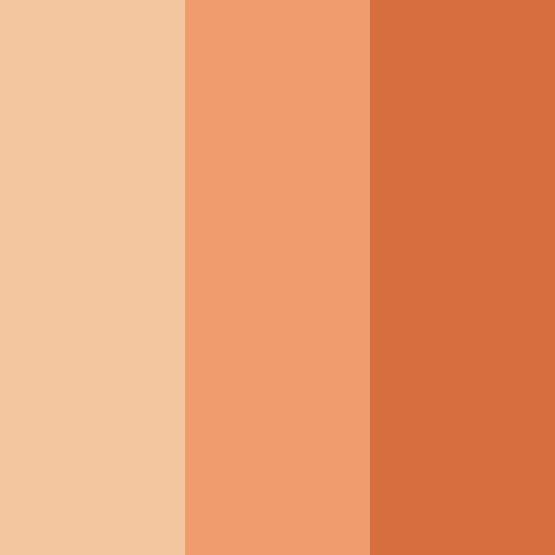 Download peachy shades color palette PNG image (square)