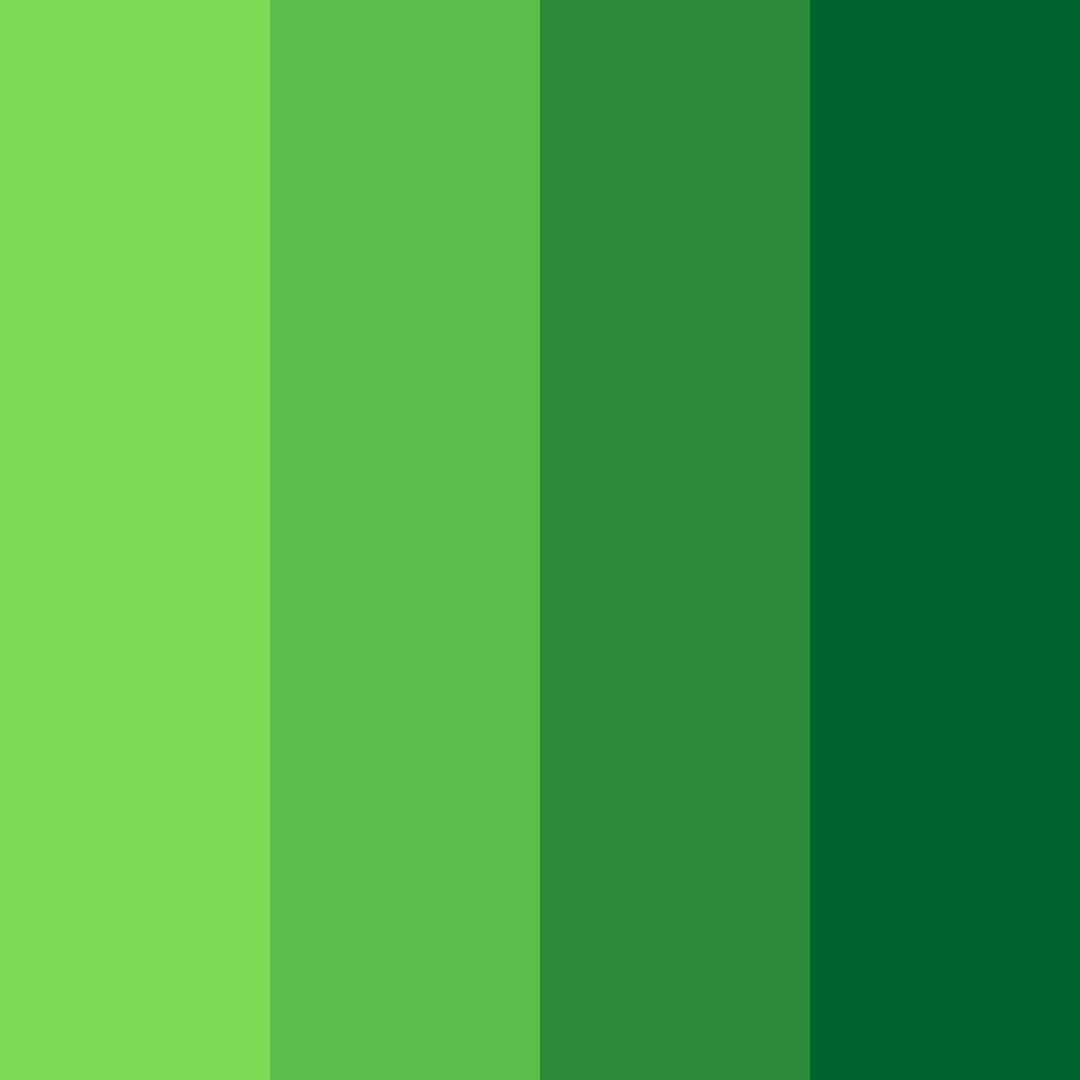 Download emerald canopy color palette PNG image (square)