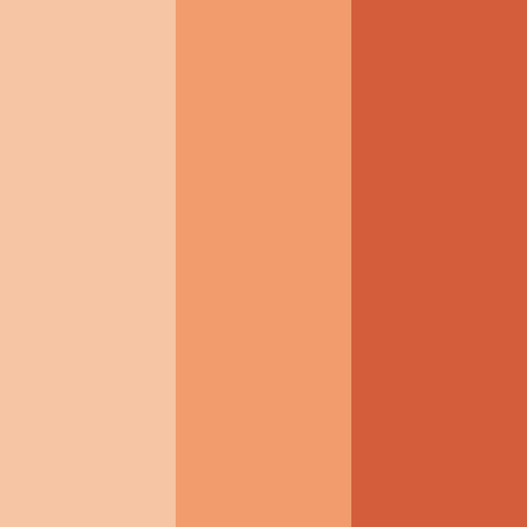 Download warm sunset embrace color palette PNG image (square)