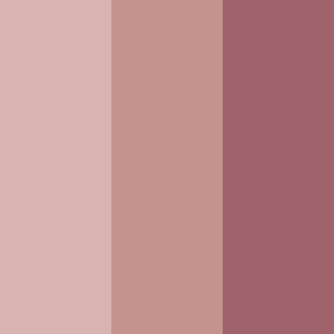 Download shades of rose color palette PNG image (square)