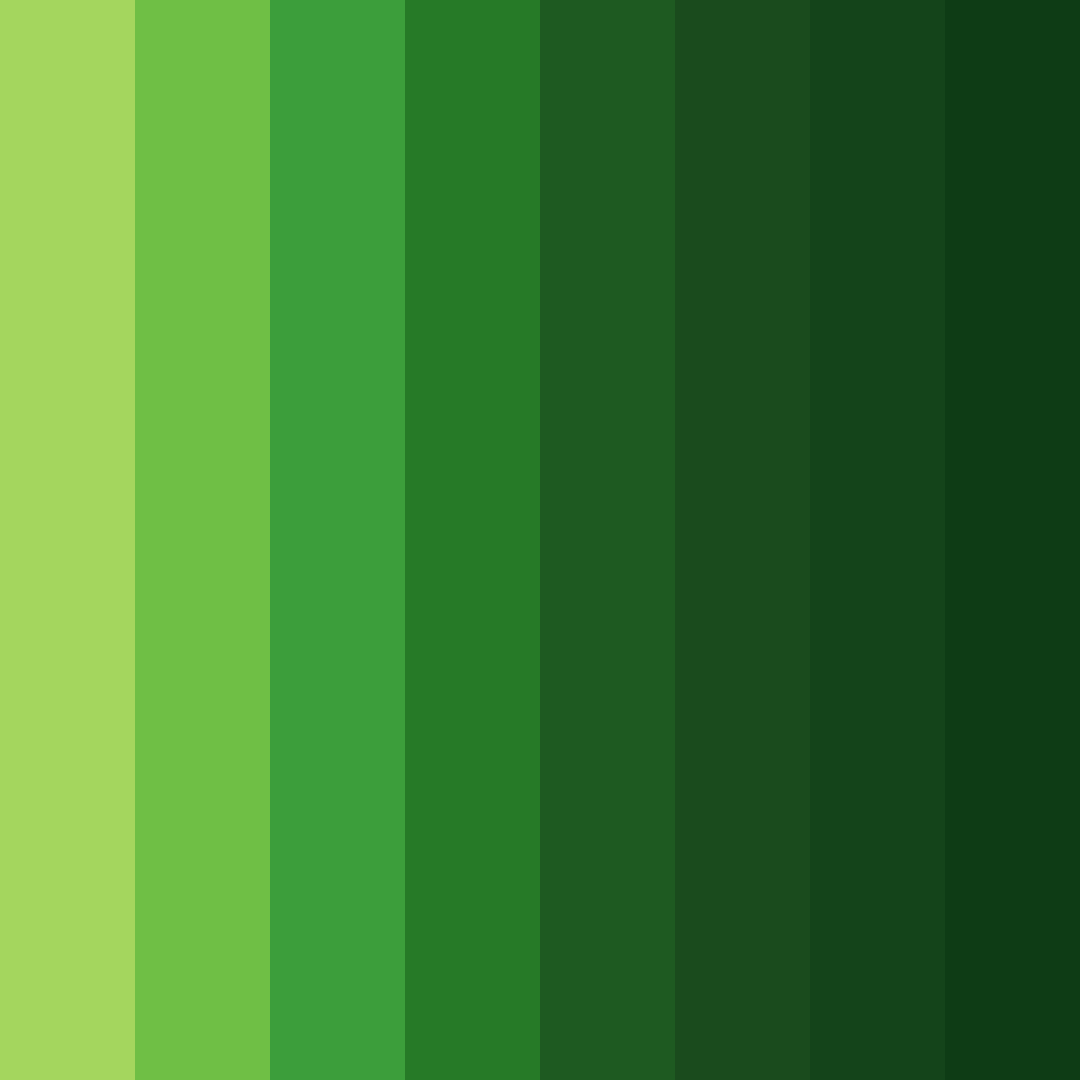 Download green jungle color palette PNG image (square)