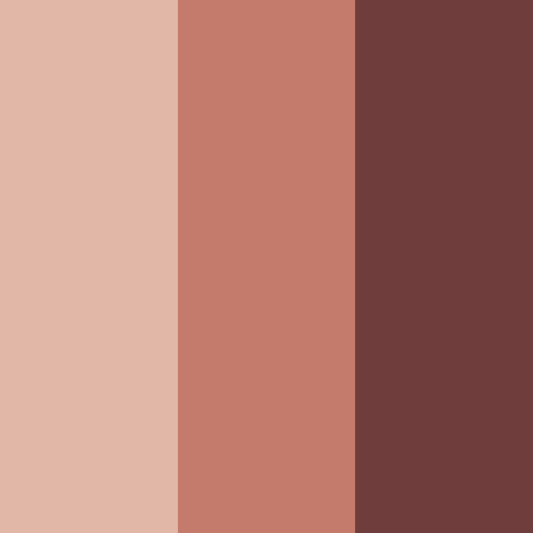 Download earthen elegance color palette PNG image (square)