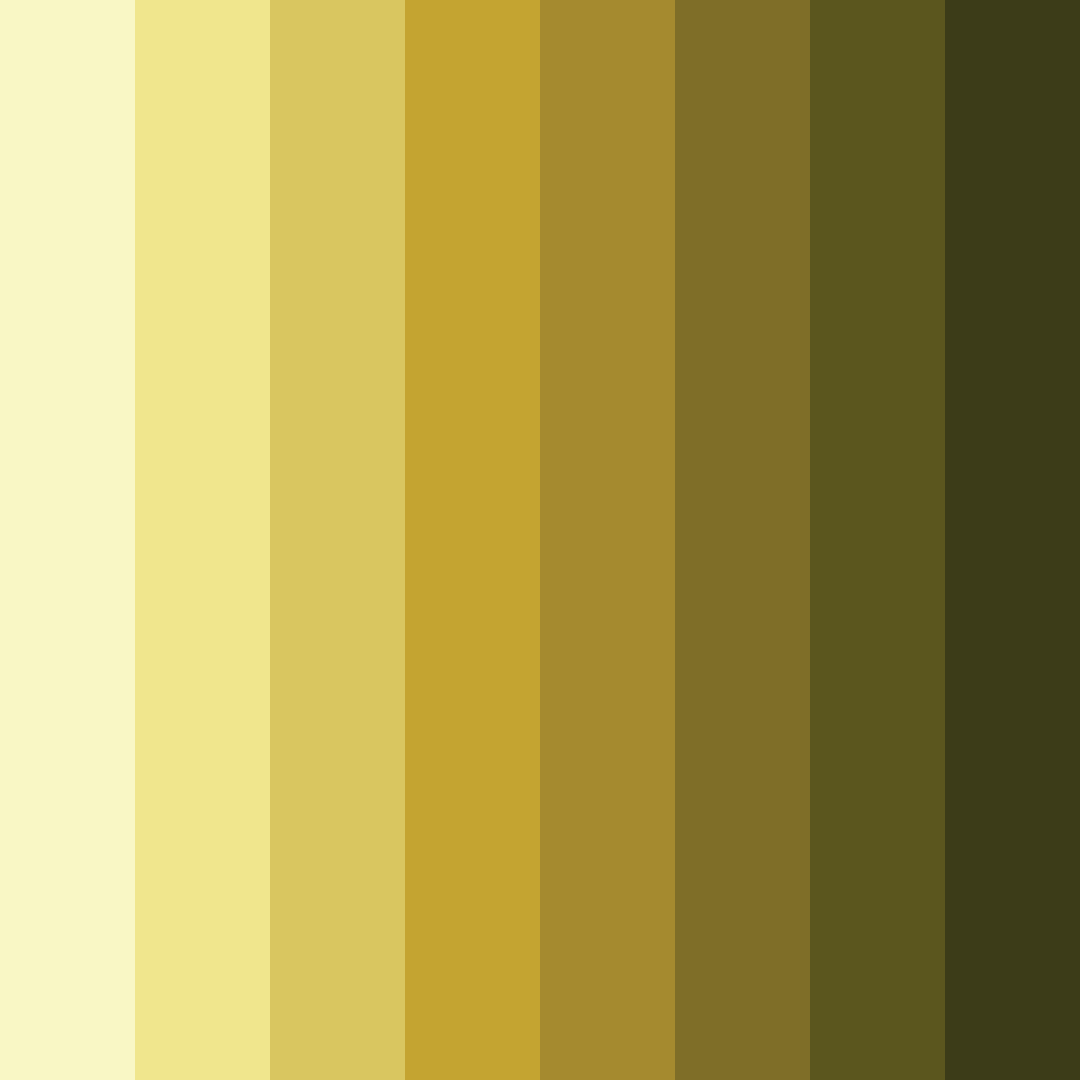 Download sunlit olive grove color palette PNG image (square)
