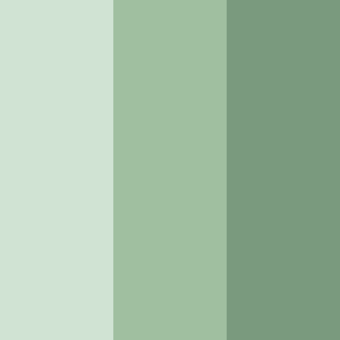 Download whispering sage color palette PNG image (square)