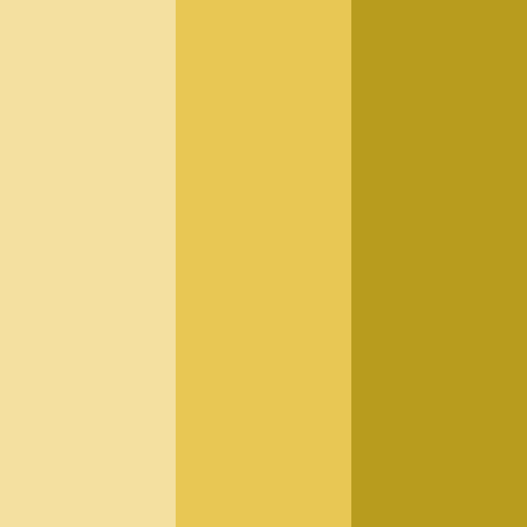 Download golden meadow color palette PNG image (square)