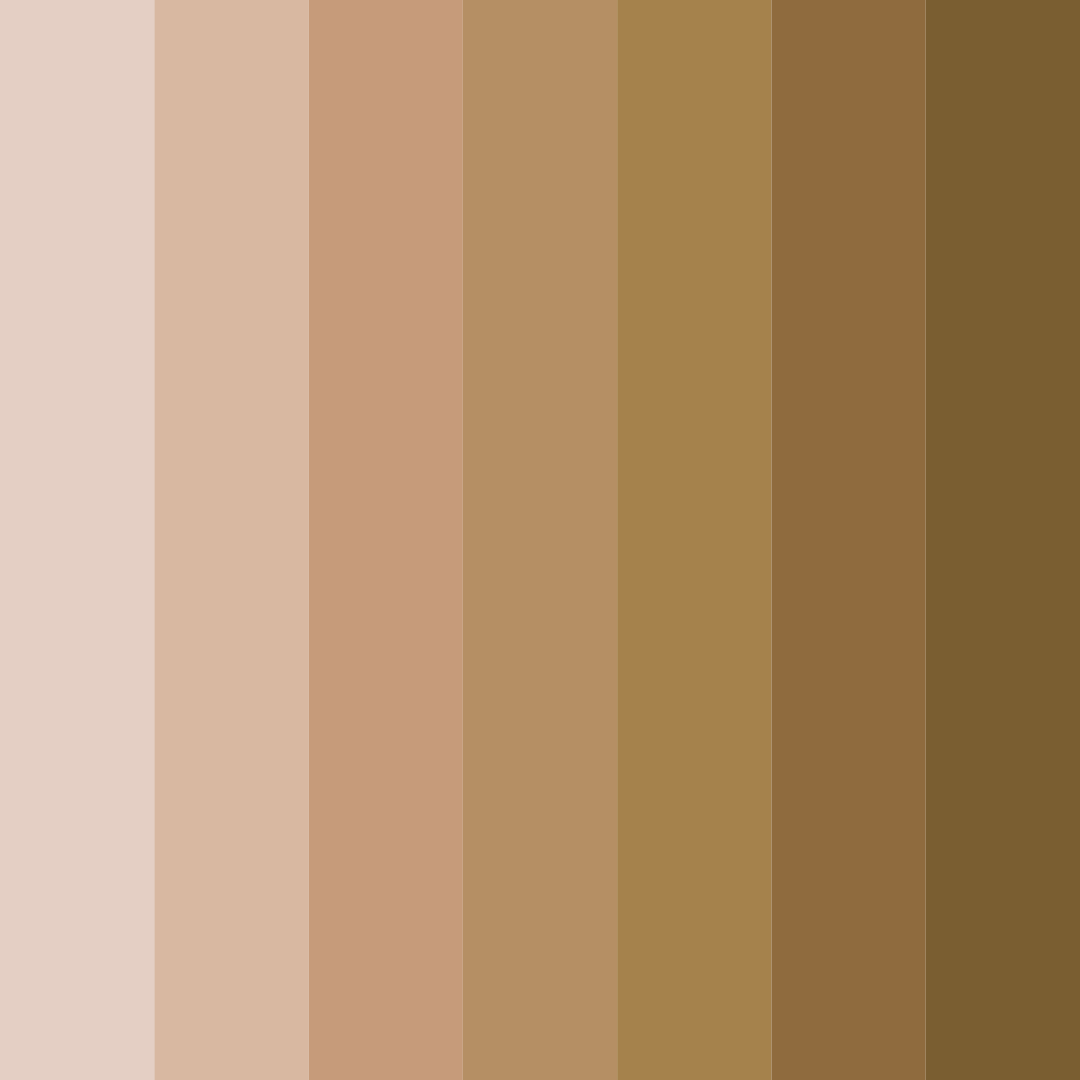 Download whispering earthtones color palette PNG image (square)