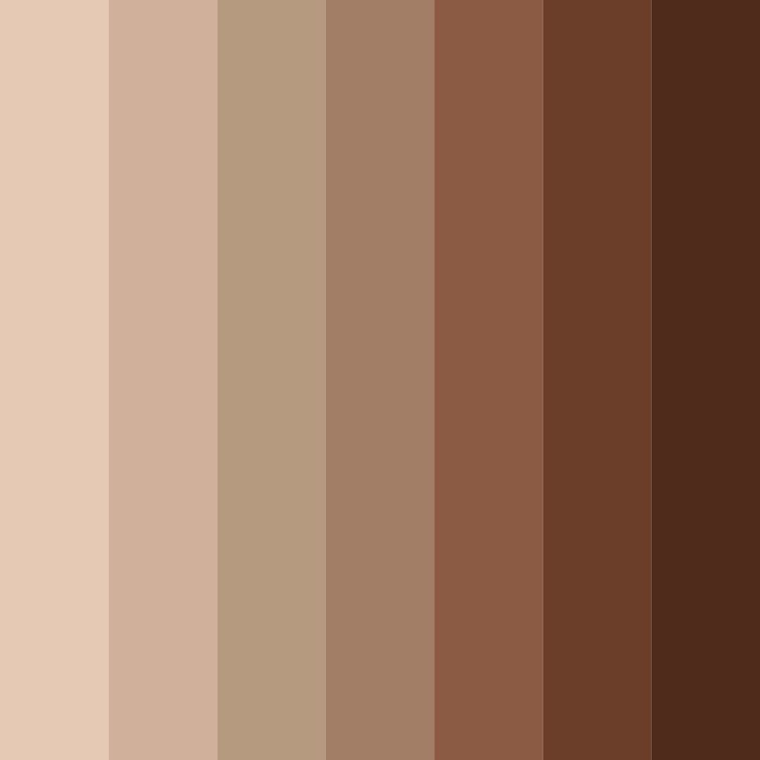 Download soft earthy embrace color palette PNG image (square)