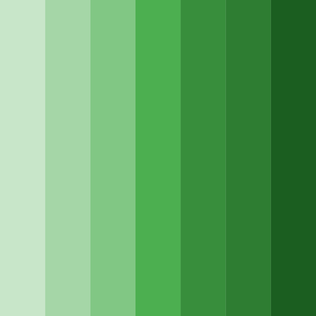 Download verdant whisper color palette PNG image (square)