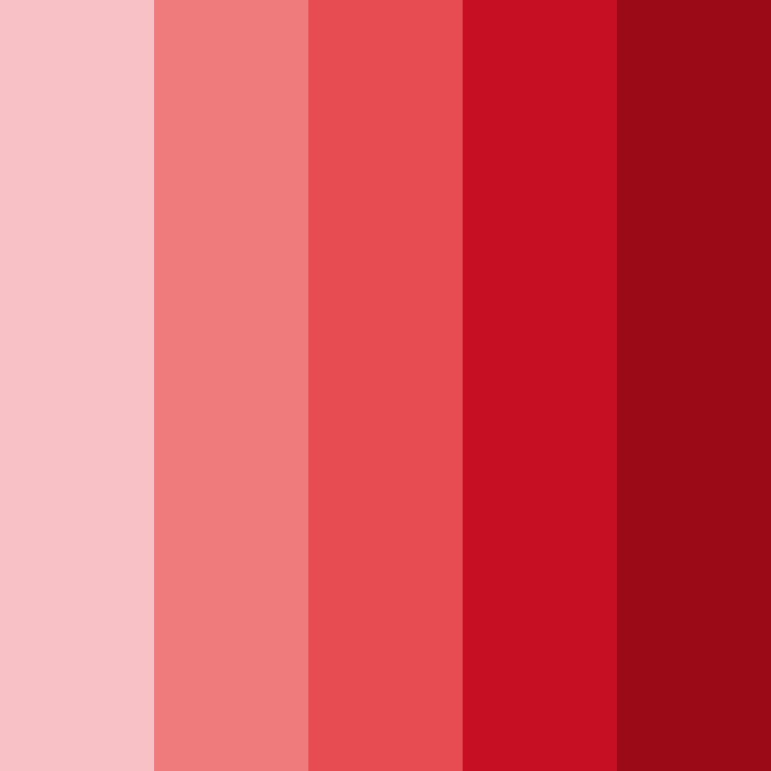 Download red shades color palette PNG image (square)