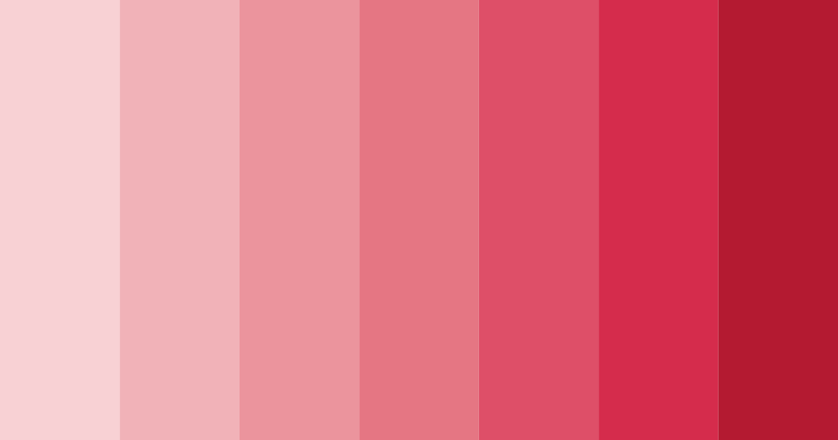 Download blushing rosewood color palette PNG image (landscape)