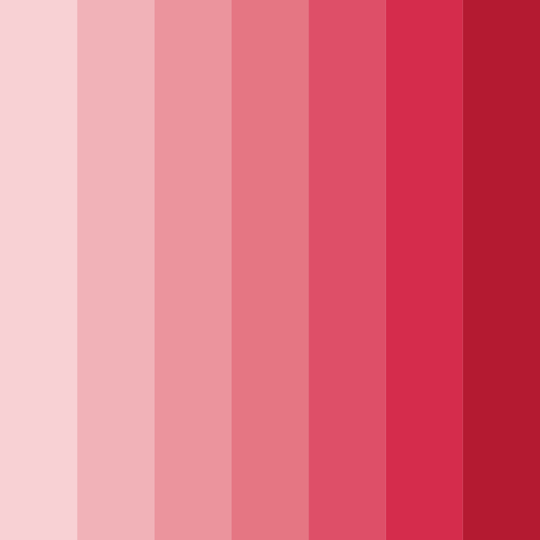 Download blushing rosewood color palette PNG image (square)
