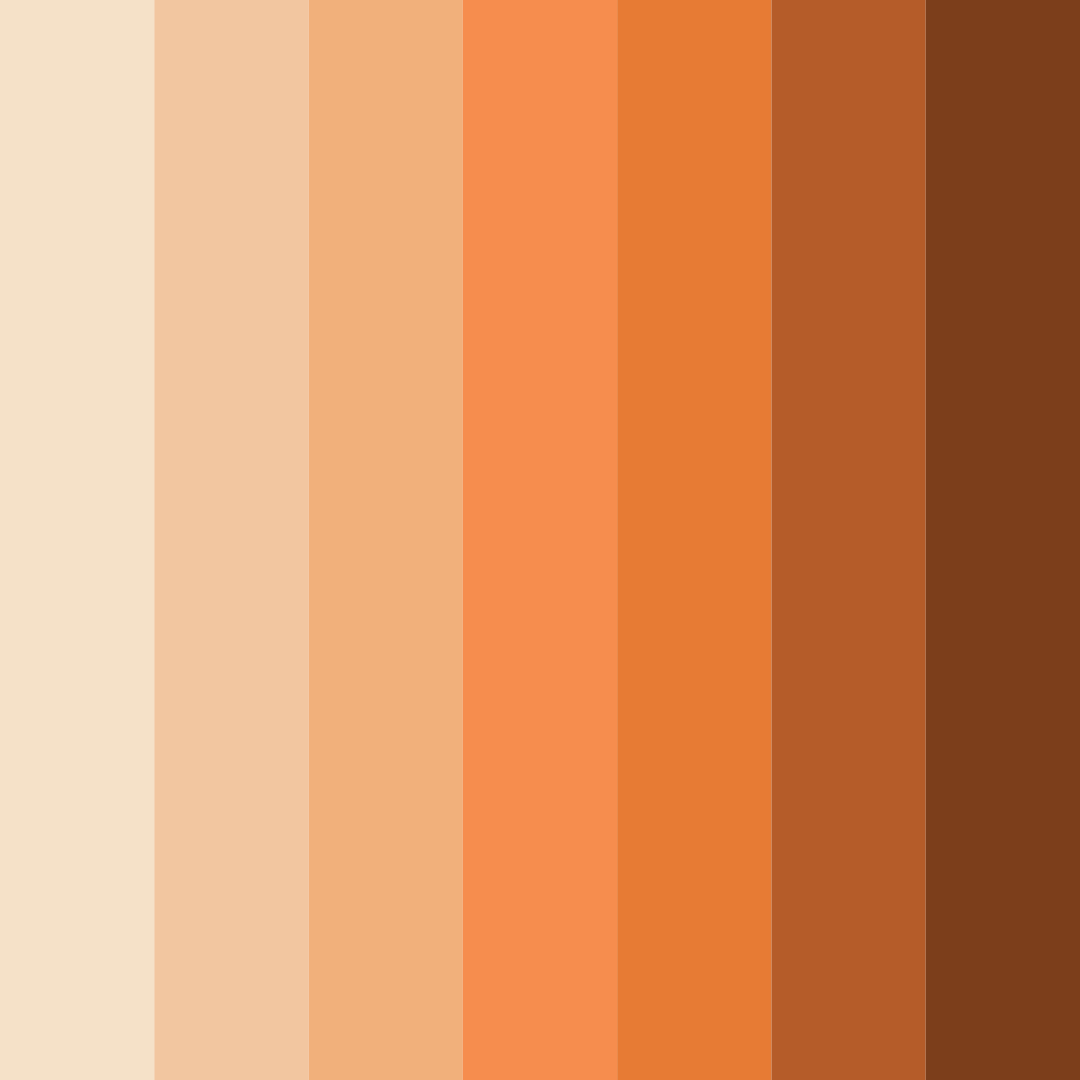 Download sunkissed earthtones color palette PNG image (square)