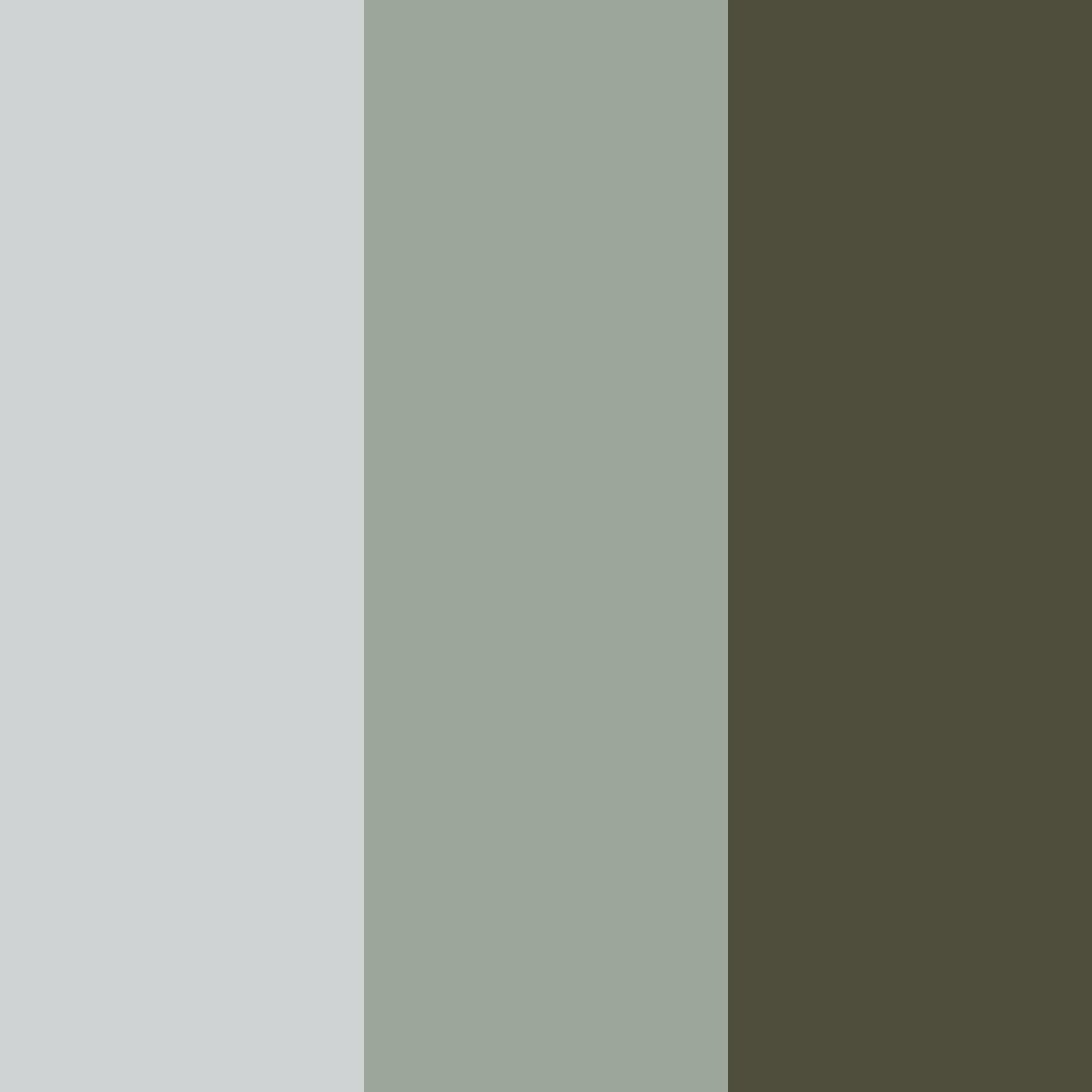 Download whispers of nature color palette PNG image (square)