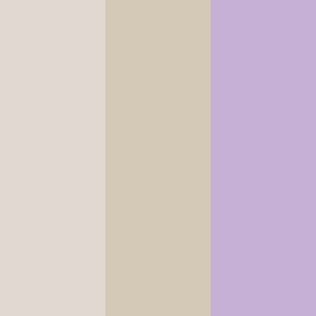 Download ashy lavender color palette PNG image (square)