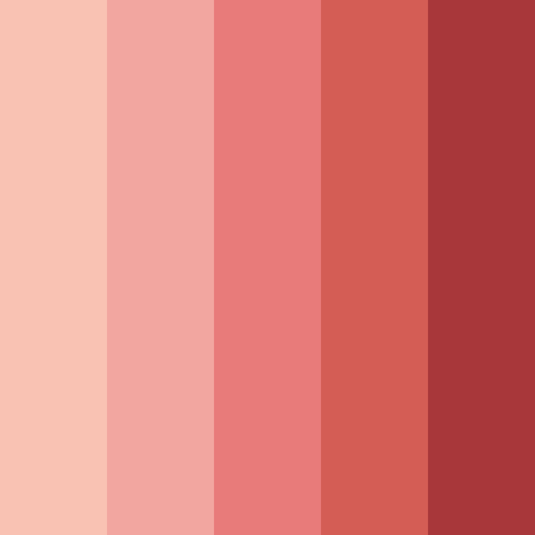 Download shades of red color palette PNG image (square)