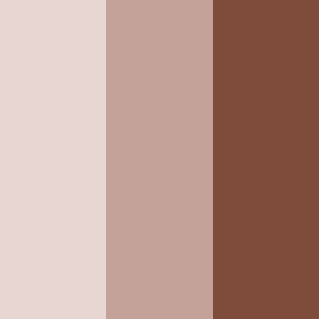 Download enchanted biscotti color palette PNG image (square)