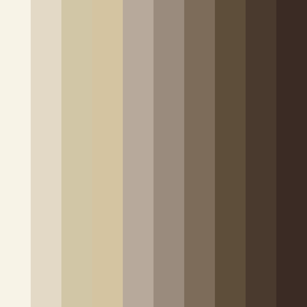 Download cookies and shadows color palette PNG image (square)