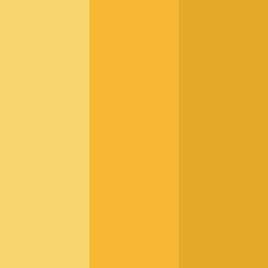 Download sunlit harvest color palette PNG image (square)