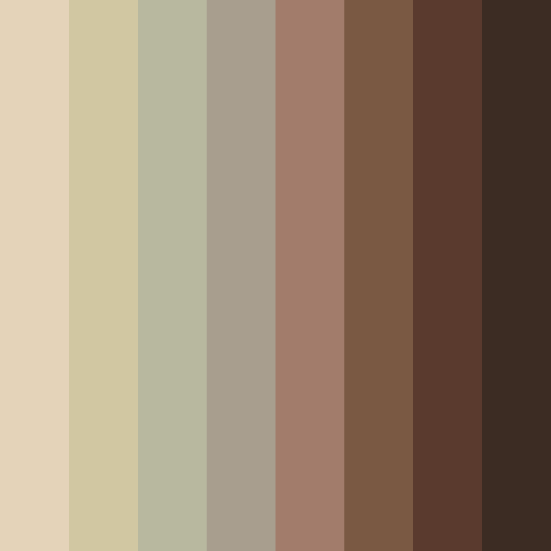 Download beige elegance color palette PNG image (square)