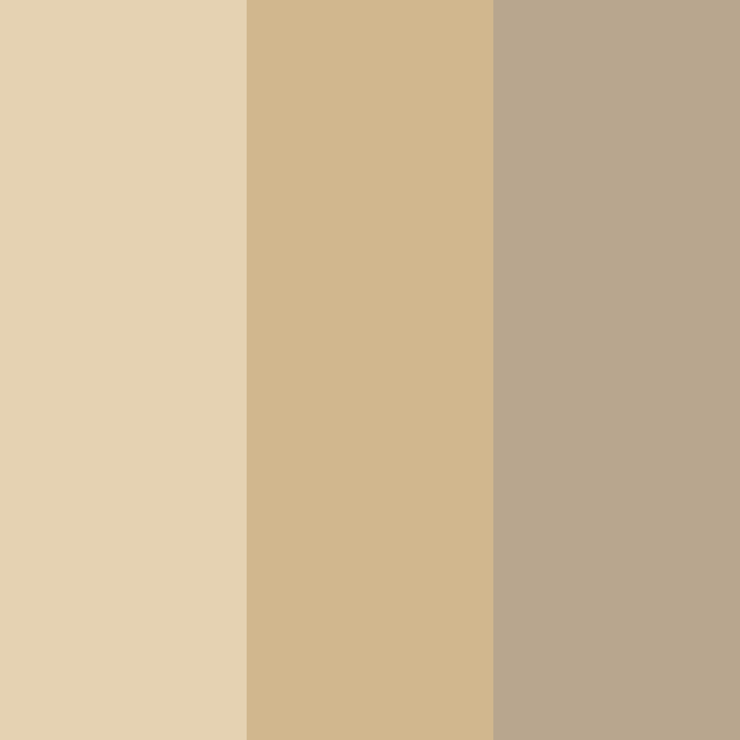Download sandy serenity color palette PNG image (square)