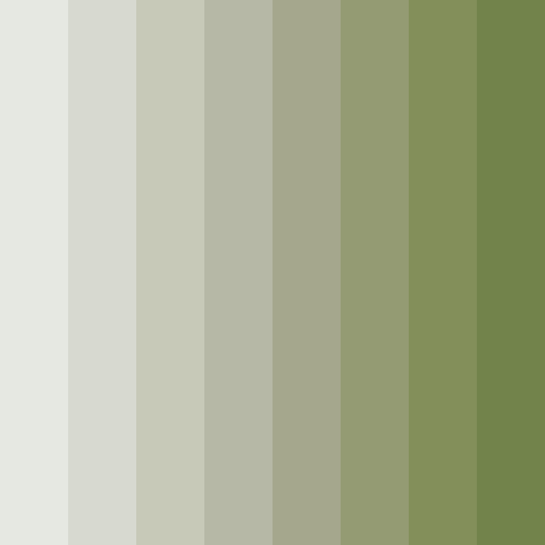 Download whispering woods color palette PNG image (square)