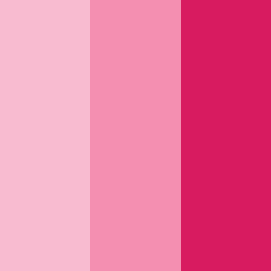 Download bright pink color palette PNG image (square)