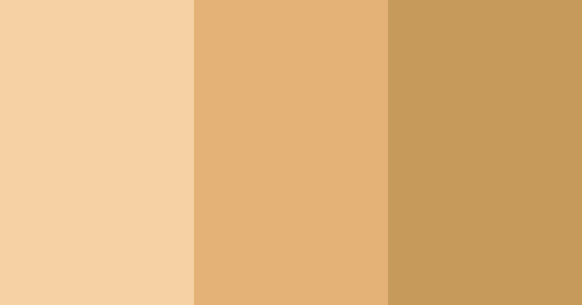 Download caramel shades color palette PNG image (landscape)