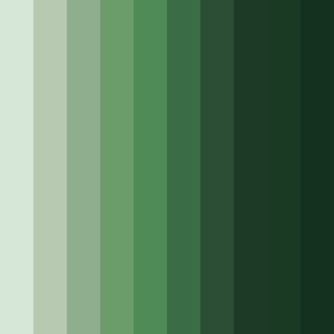 Download deep green woods color palette PNG image (square)