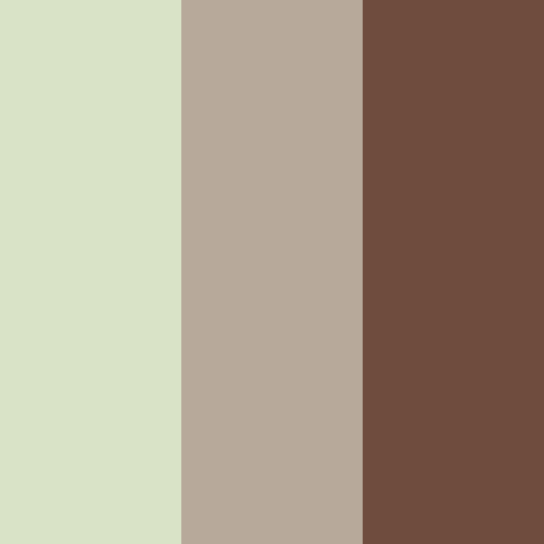Download earthy serenity color palette PNG image (square)