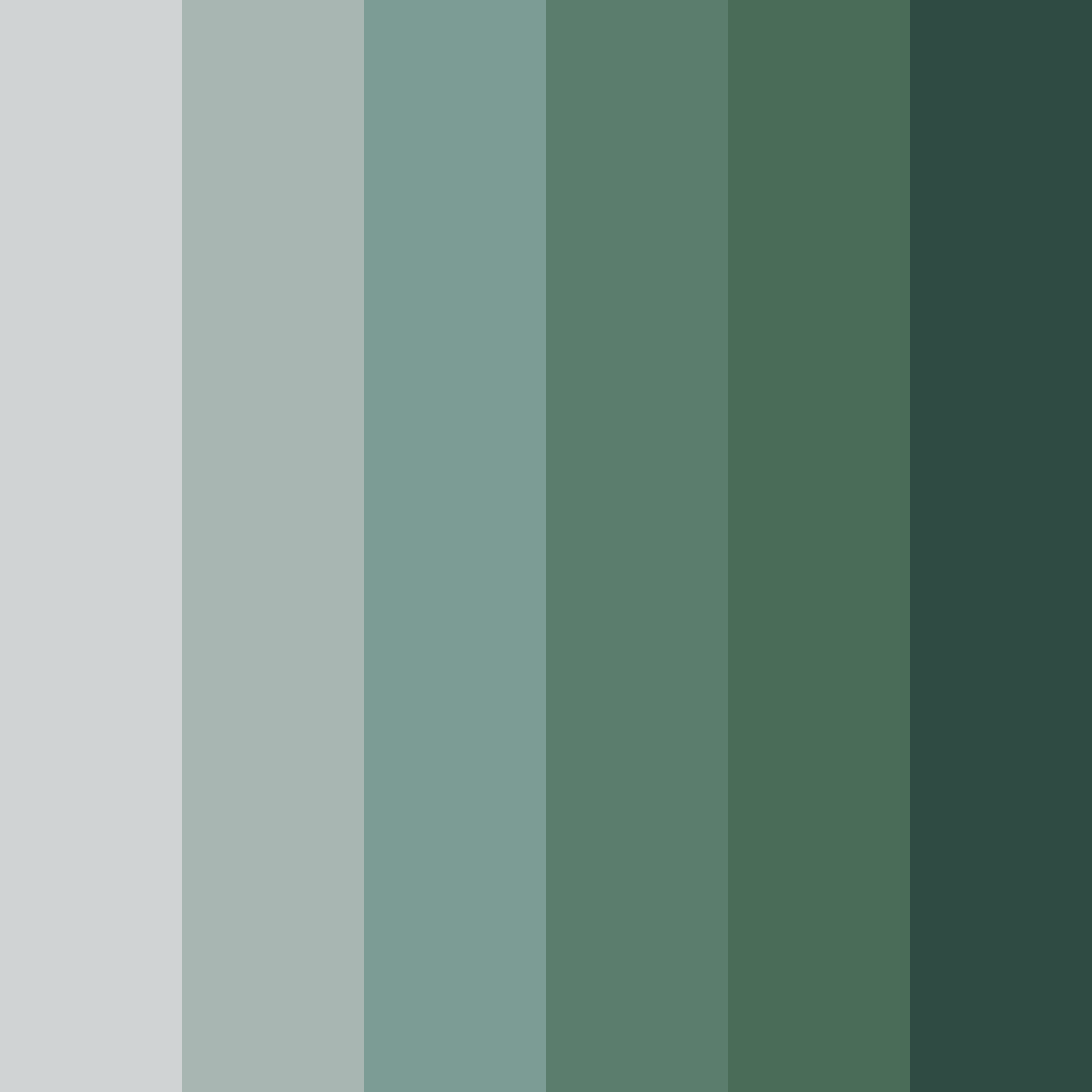 Download whispering ferns color palette PNG image (square)