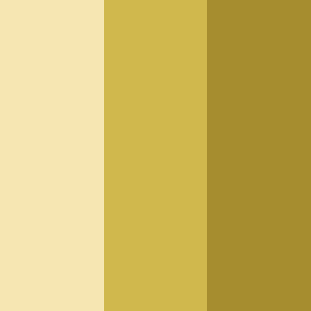 Download golden whisper color palette PNG image (square)