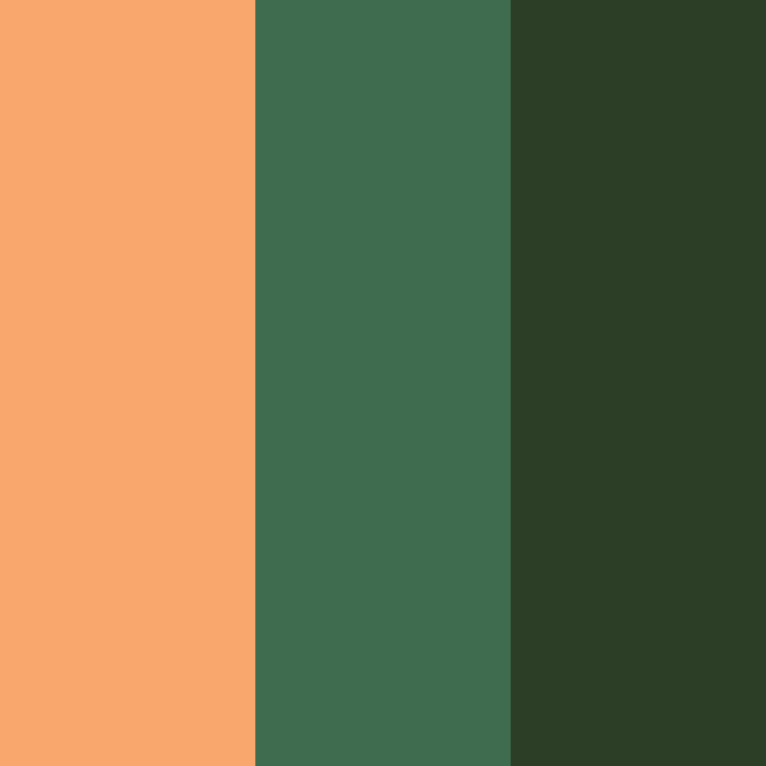 Download forest ember color palette PNG image (square)