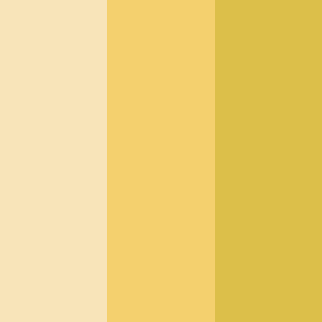 Download sunlit wheat color palette PNG image (square)