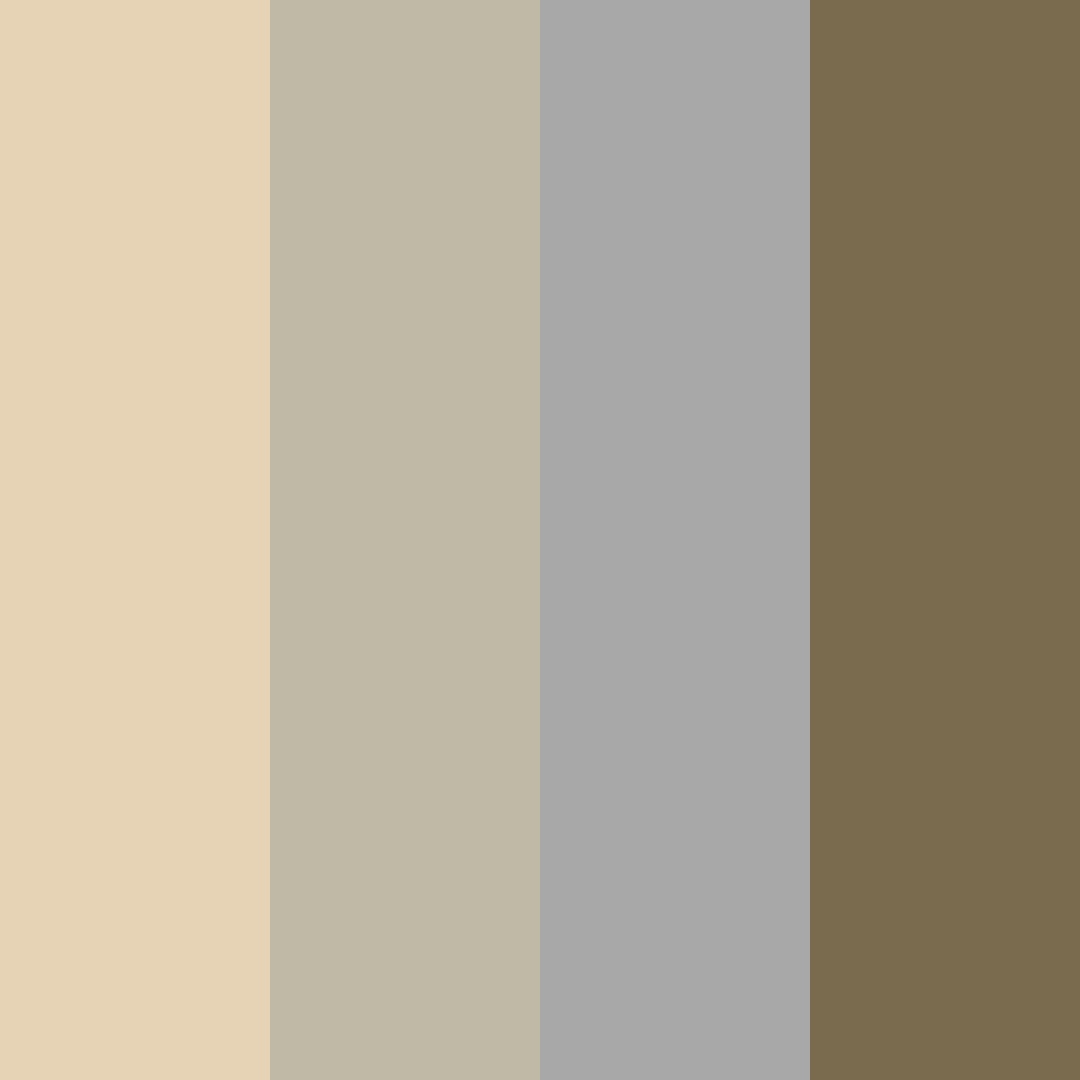 Download whispering earthtones color palette PNG image (square)