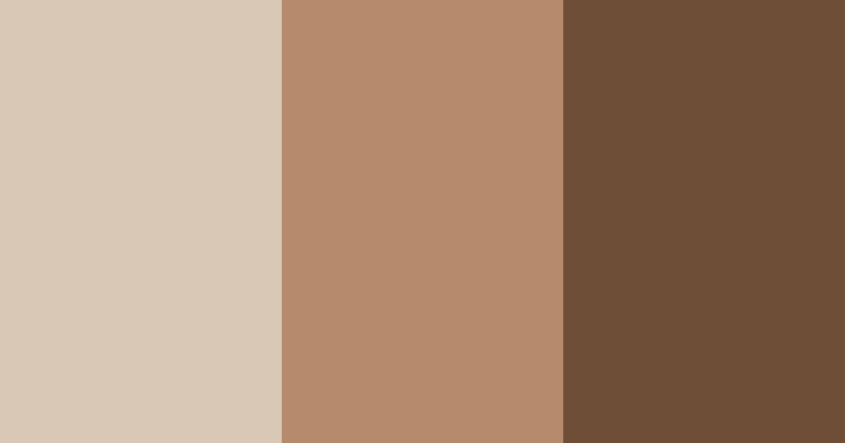 Download warm brown color palette PNG image (landscape)