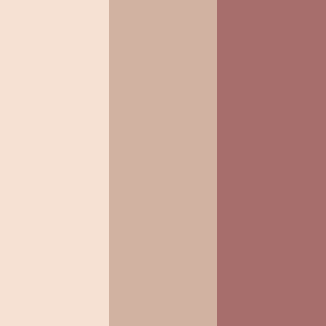 Download blush brown color palette PNG image (square)