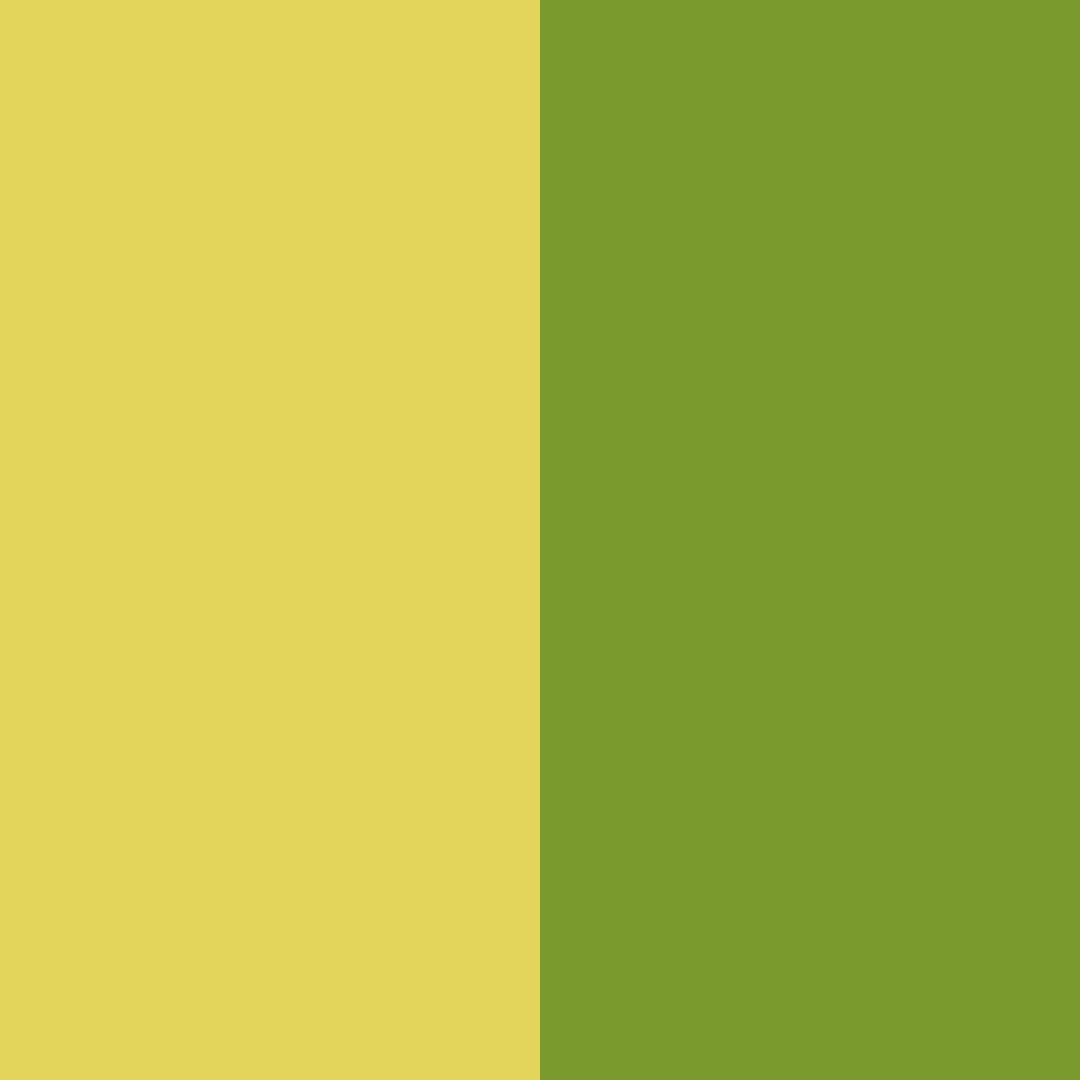 Download verdant gilding color palette PNG image (square)