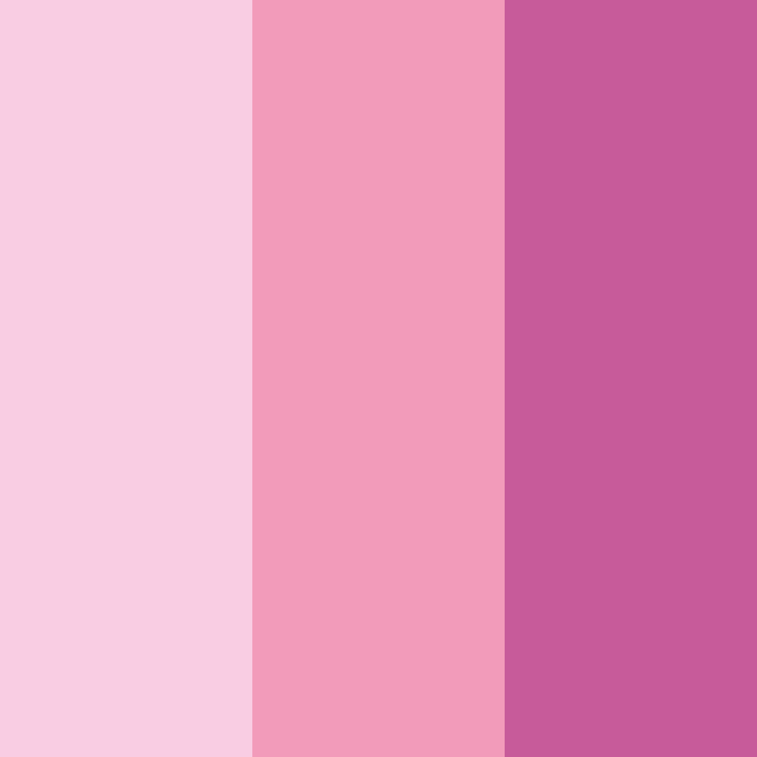 Download cherry blossom dreams color palette PNG image (square)