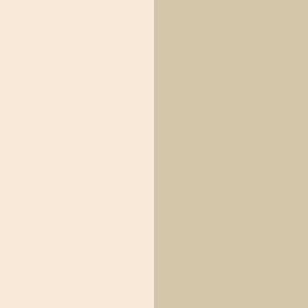 Download creamy beige color palette PNG image (square)