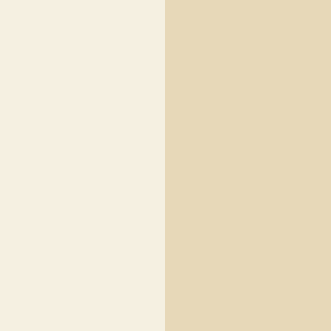 Download beige cream color palette PNG image (square)