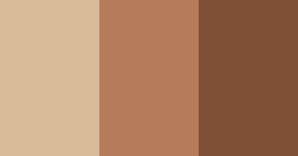 Download brown shades color palette PNG image (landscape)