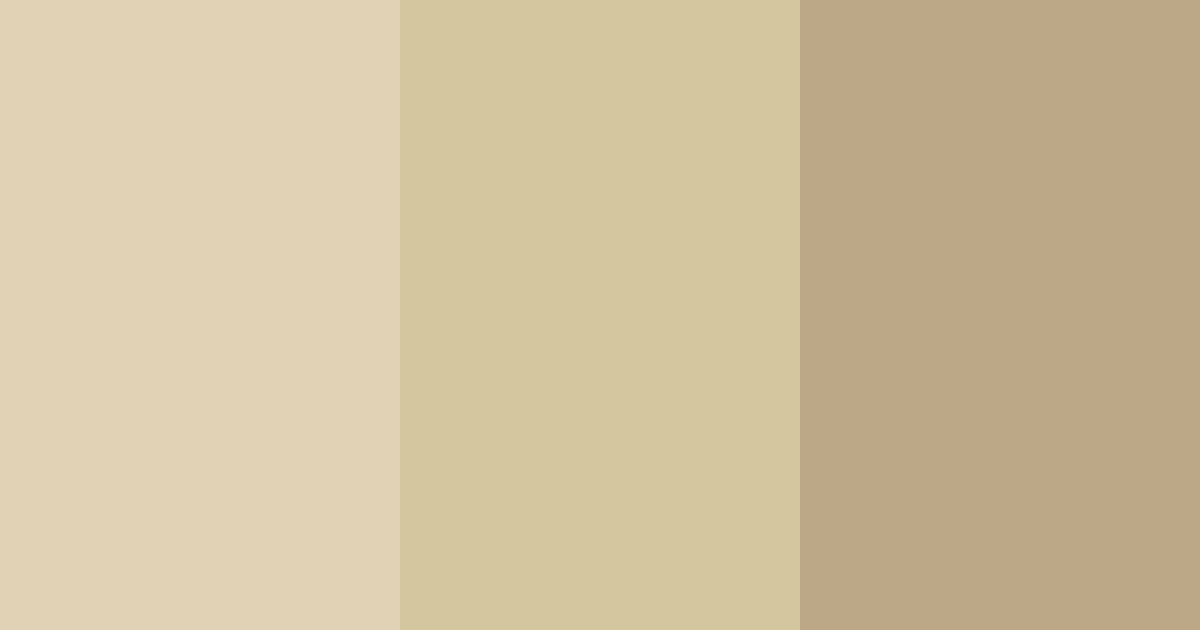 Download light brown color palette PNG image (landscape)