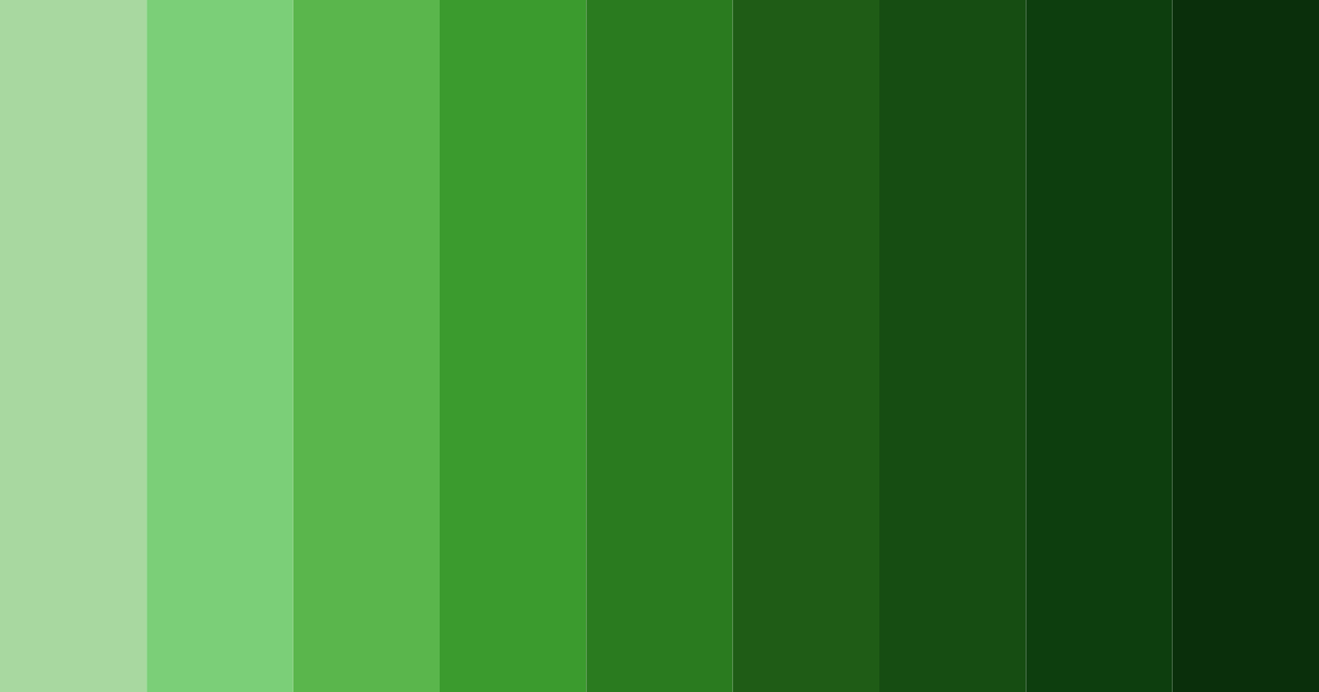 Download emerald grove color palette PNG image (landscape)