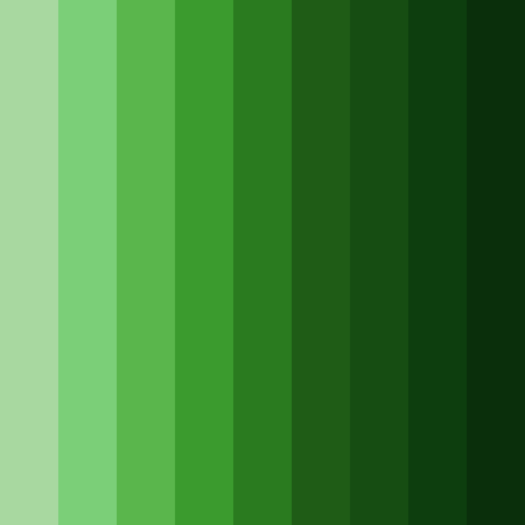 Download emerald grove color palette PNG image (square)
