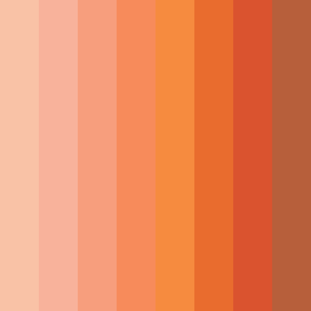 Download warm coral color palette PNG image (square)