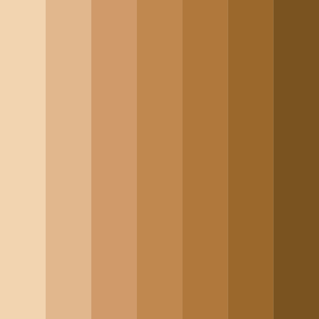 Download autumn's embrace color palette PNG image (square)